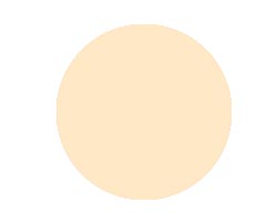 Anna Lotan Treatment Make-up Botanical Non Oily Makeup 501 pale 30ml