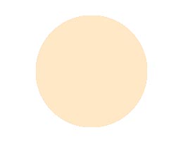 Anna Lotan Treatment Make-up Powder Perfectone Bez 112 10gr