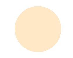 Anna Lotan Treatment Make-up Botanical Non Oily Makeup 501 pale 30ml