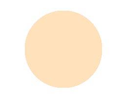 Anna Lotan Treatment Make-up Powder Perfectone Bez-Brown 113 10gr
