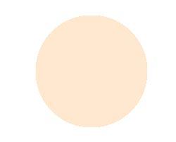 Anna Lotan Treatment Make-up Powder Perfectone Lite 111 10gr