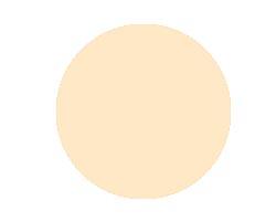Anna Lotan Treatment Make-up Pressed Finishing Powder Pale 6150 10gr