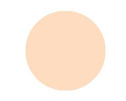 Anna Lotan Treatment Make-up Pressed Finishing Powder Lite 6151 10gr